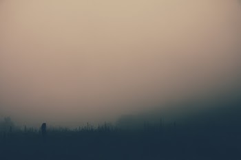 Unsplash ID AaqySE0XLSM