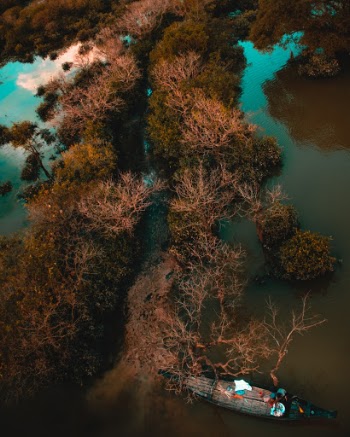 Unsplash ID acLrDMOJbLA