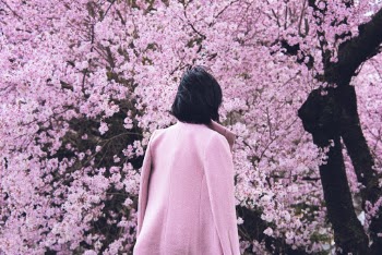 Unsplash ID aEdthggVs7M