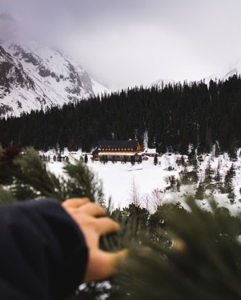 Unsplash ID aeZw9DmtQyg