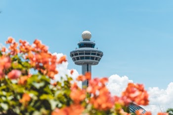 Unsplash ID AfRO2JMmhaA