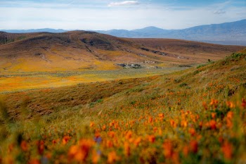 Unsplash ID AGloOxeAaDg