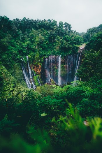 Unsplash ID _Agwkkxw0JY