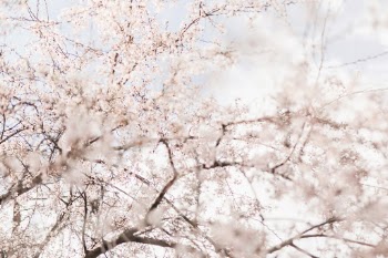 Unsplash ID ahgcvL7r0NY