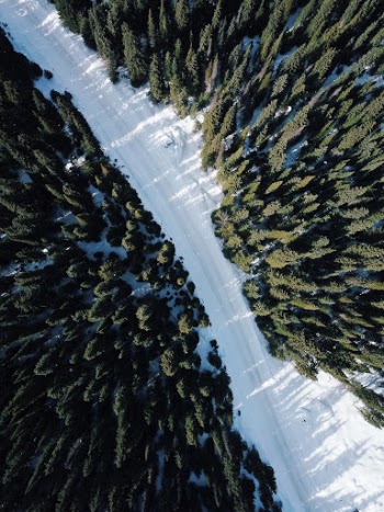 Unsplash ID aHimW8gzrrQ