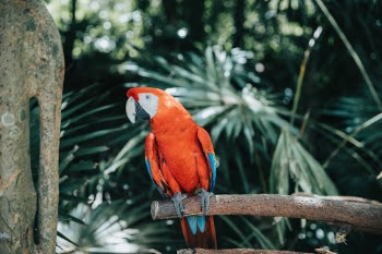 Unsplash ID ahx3_CZS4Bc
