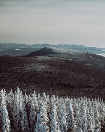 Unsplash ID aJE6CJZfPxk