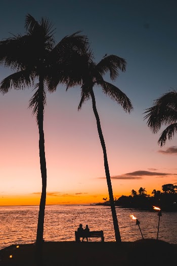 Unsplash ID amfHPv97pl0