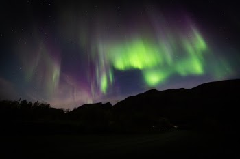 Unsplash ID AnEX3nHbdhQ
