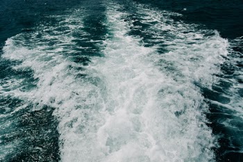 Unsplash ID Ankmg3TXo1k