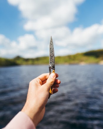 Unsplash ID ANy4ueoki8g