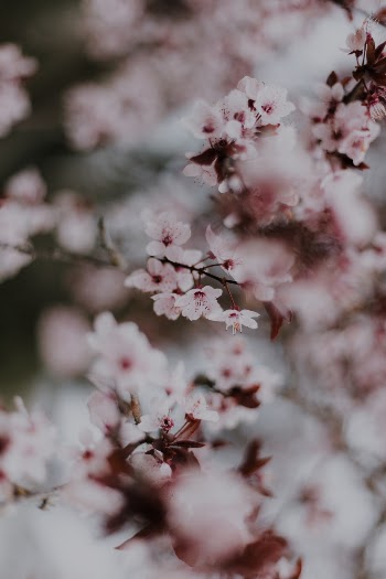Unsplash ID aOnec_FH9r0