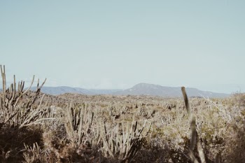 Unsplash ID ApCWSB3UWqo