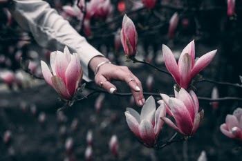 Unsplash ID apFkrxLq1HY
