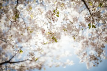 Unsplash ID aqhS5O2Oe_k