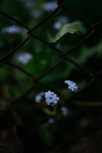 Unsplash ID Ar8JJSh38oA