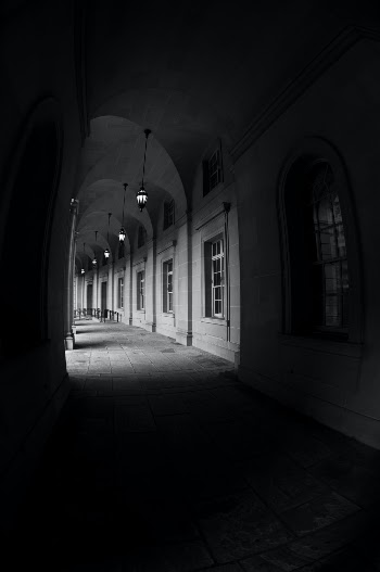 Unsplash ID ARw1kct5uL8
