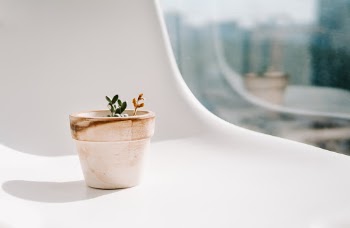 Unsplash ID AsouJszOOlE