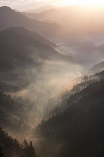 Unsplash ID asr62h5w66w