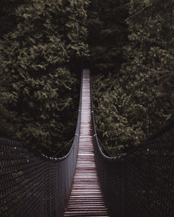 Unsplash ID AUGSefjLh_A