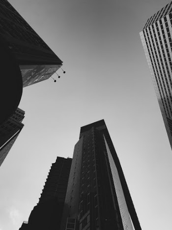 Unsplash ID avMrNemZH98