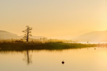 Unsplash ID axJlJ02N9v0