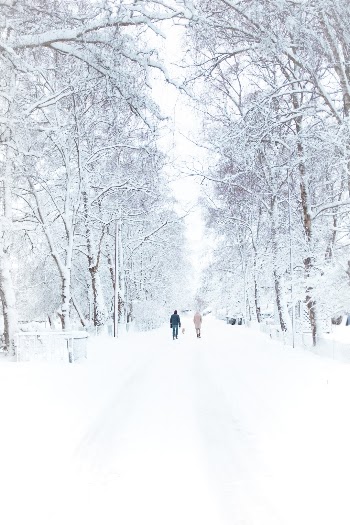 Unsplash ID AXR3b5dwdJs
