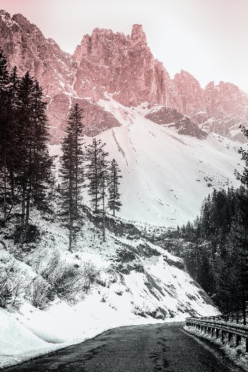 Unsplash ID aYnXUrMZ8YM