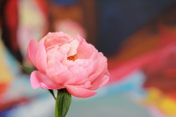 Unsplash ID azej934VWgs