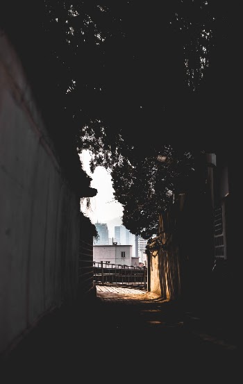Unsplash ID azkcvPthUCE