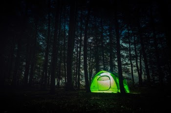 Unsplash ID B-_DfYmSMSM