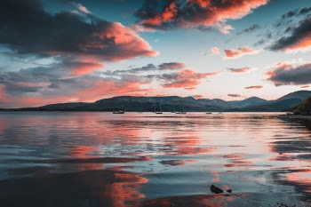 Unsplash ID b-KPFD8eFLQ