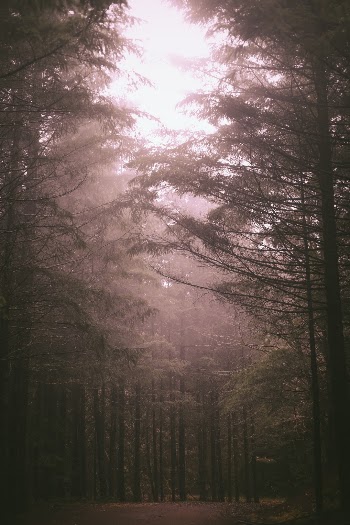 Unsplash ID b1D7RlC_iqM