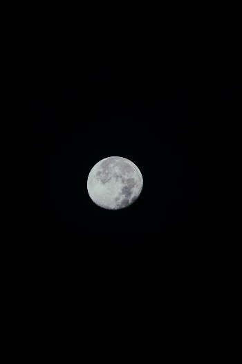 Unsplash ID b2Q8xCmcsvk