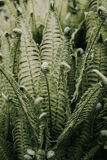 Unsplash ID b7jGGUO4LFs
