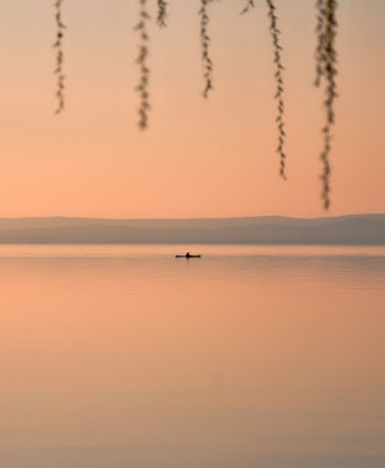 Unsplash ID b87p3-Jpk_I