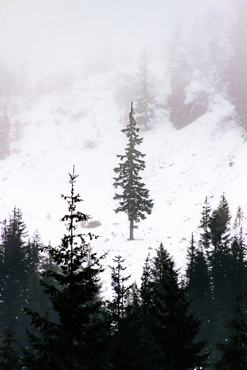 Unsplash ID b8NfiXggC3c