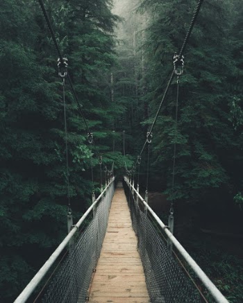 Unsplash ID bAYnUAtV9aY