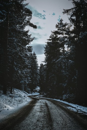 Unsplash ID Bbac08Xv9D8