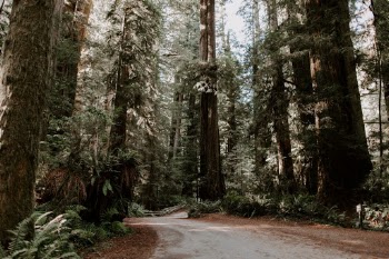 Unsplash ID bBK5MINgxCc