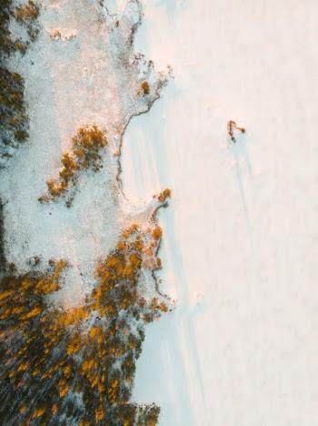 Unsplash ID BBTJmd08VSo
