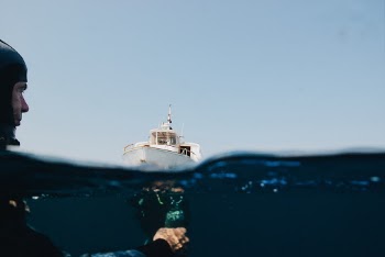 Unsplash ID bBwFtaH1evY