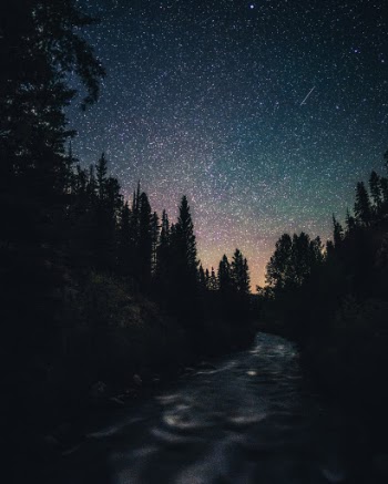 Unsplash ID BdBSS3-xQhc