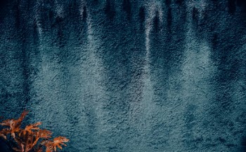 Unsplash ID bdoaTeoh6gU