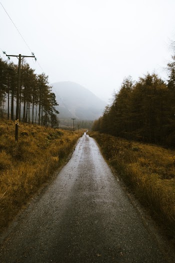 Unsplash ID belhgVonViQ