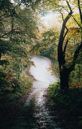 Unsplash ID Bestn65aeZ0