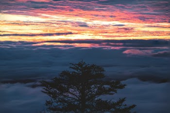 Unsplash ID BFxfe_z2ZKQ