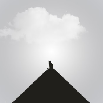 Unsplash ID bG34b0wtRbw