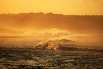 Unsplash ID bgf55eR6vTM