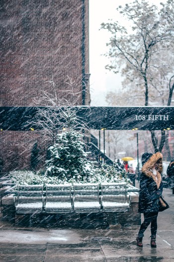 Unsplash ID bgw5HDiGzt0